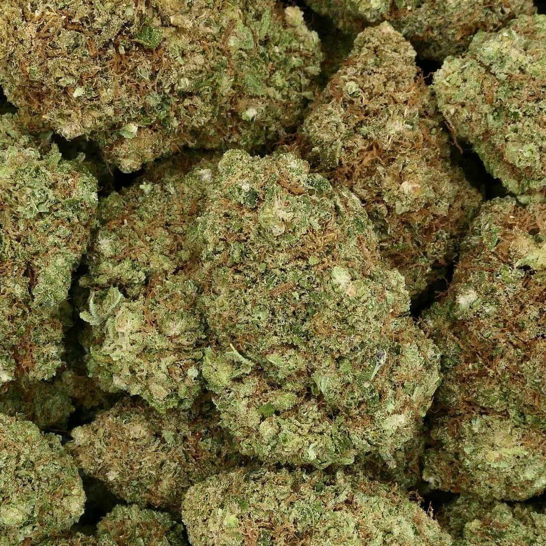 Bruce Banner – Fleur CBX Premium Indoor