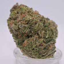 Bruce Banner – Fleur CBX Premium Indoor